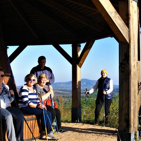 Tokaj Hill Panorama Guesthouse セレンチュ エクステリア 写真