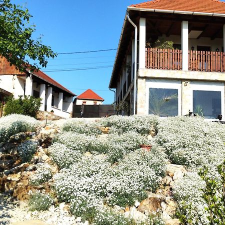 Tokaj Hill Panorama Guesthouse セレンチュ エクステリア 写真