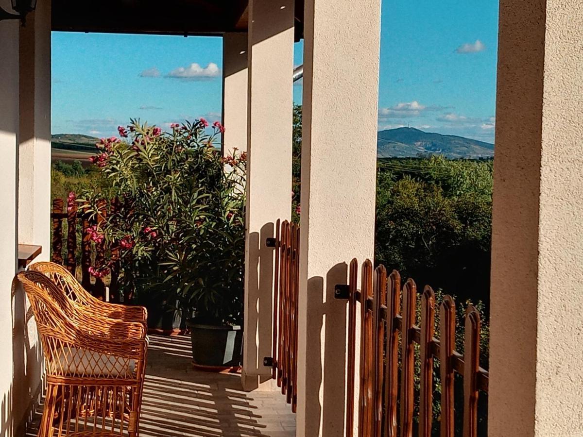 Tokaj Hill Panorama Guesthouse セレンチュ エクステリア 写真
