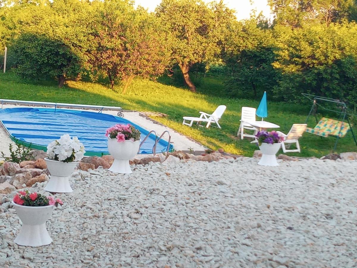 Tokaj Hill Panorama Guesthouse セレンチュ エクステリア 写真