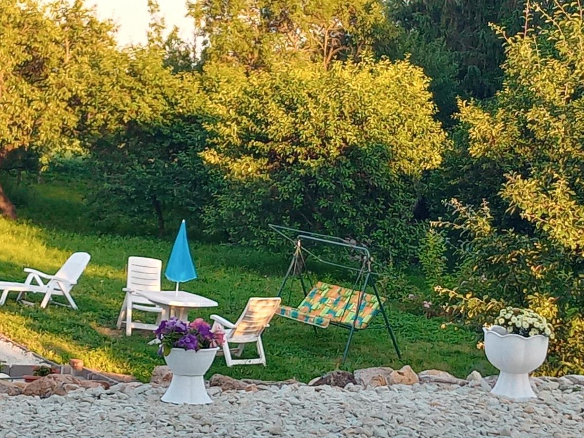 Tokaj Hill Panorama Guesthouse セレンチュ エクステリア 写真