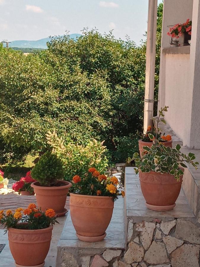 Tokaj Hill Panorama Guesthouse セレンチュ エクステリア 写真