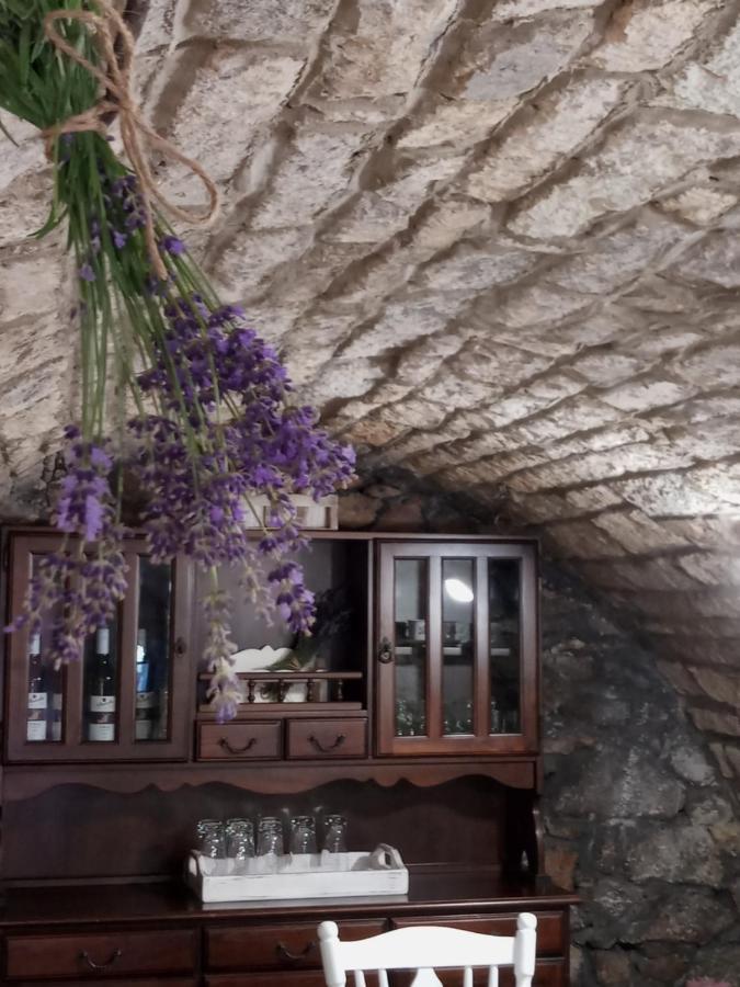 Tokaj Hill Panorama Guesthouse セレンチュ エクステリア 写真