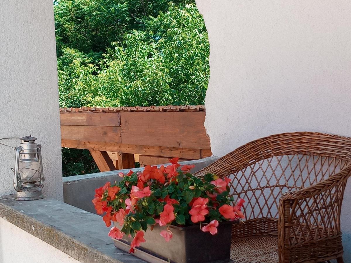 Tokaj Hill Panorama Guesthouse セレンチュ エクステリア 写真
