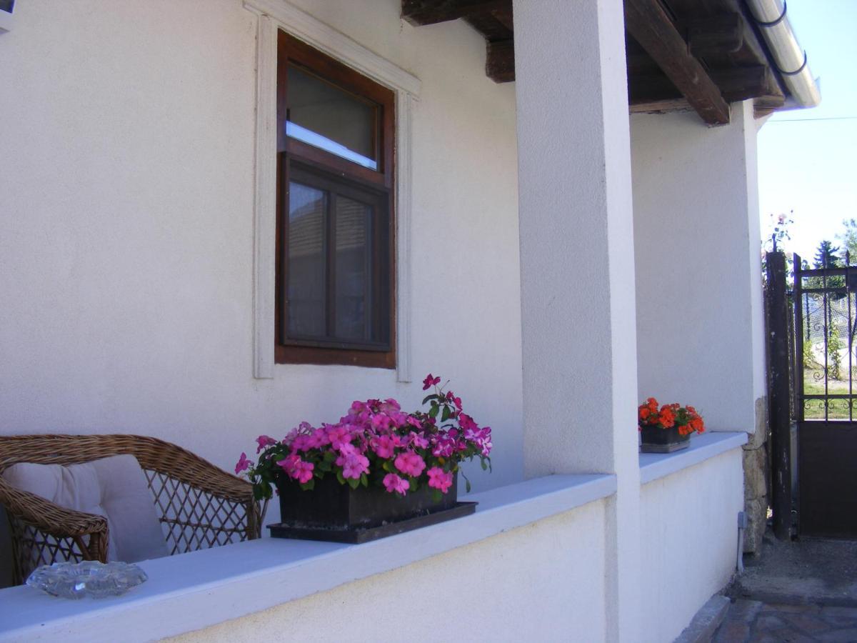 Tokaj Hill Panorama Guesthouse セレンチュ エクステリア 写真