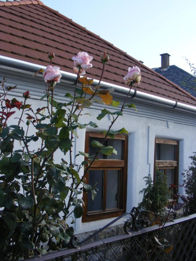 Tokaj Hill Panorama Guesthouse セレンチュ エクステリア 写真