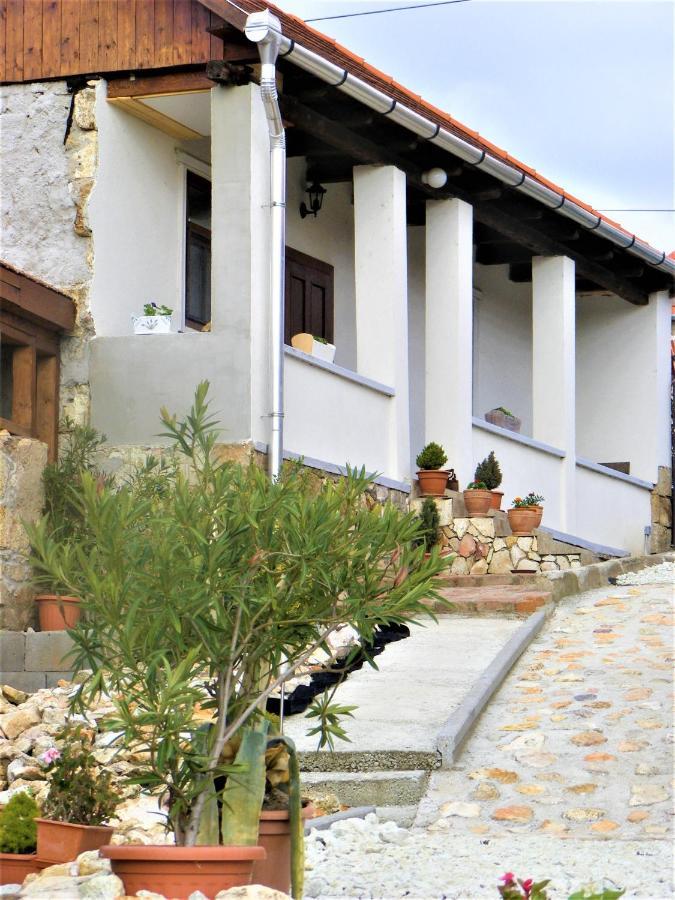 Tokaj Hill Panorama Guesthouse セレンチュ エクステリア 写真