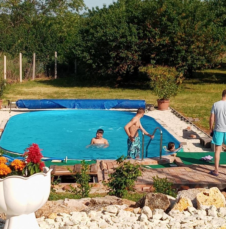 Tokaj Hill Panorama Guesthouse セレンチュ エクステリア 写真