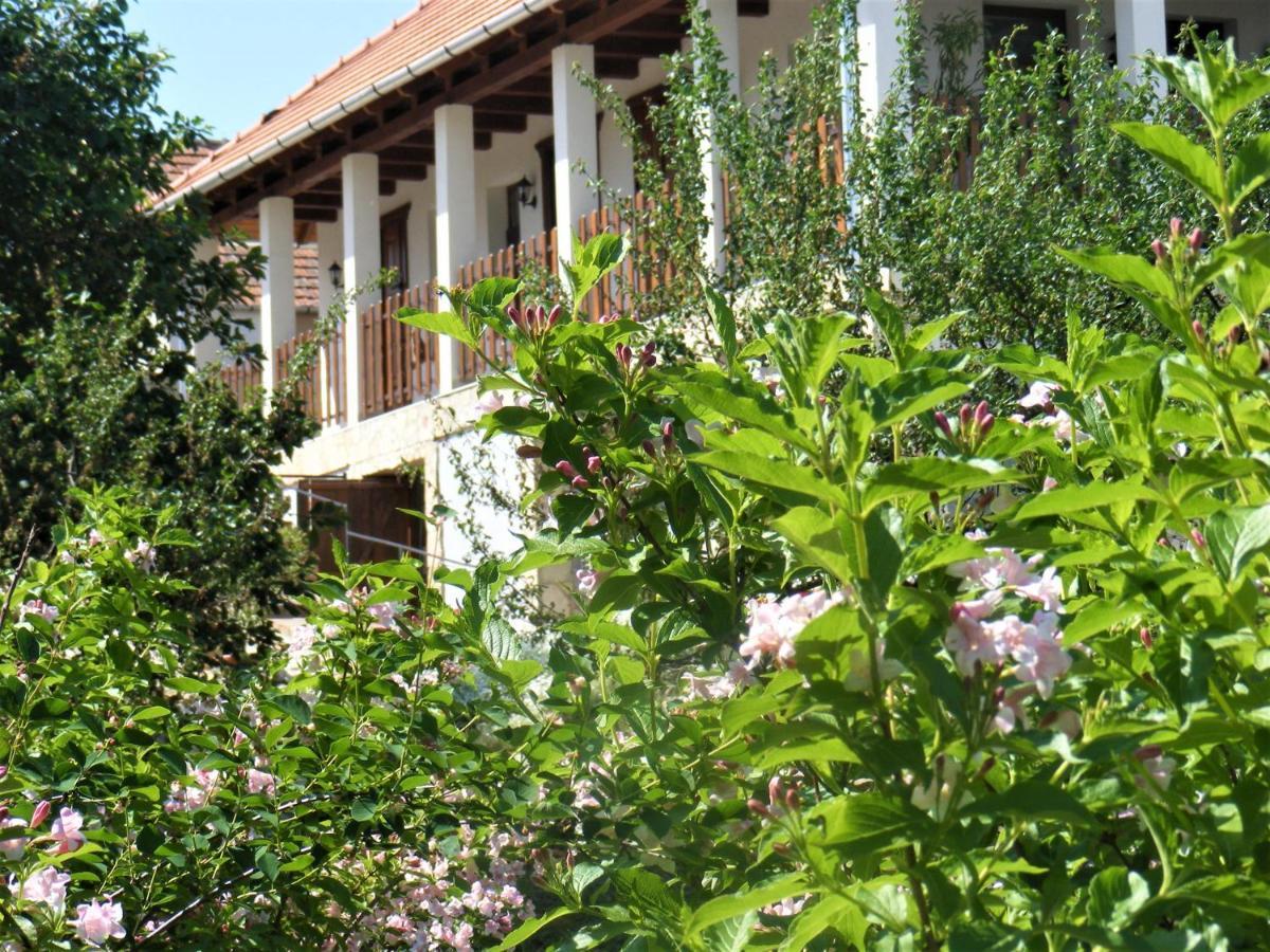 Tokaj Hill Panorama Guesthouse セレンチュ エクステリア 写真