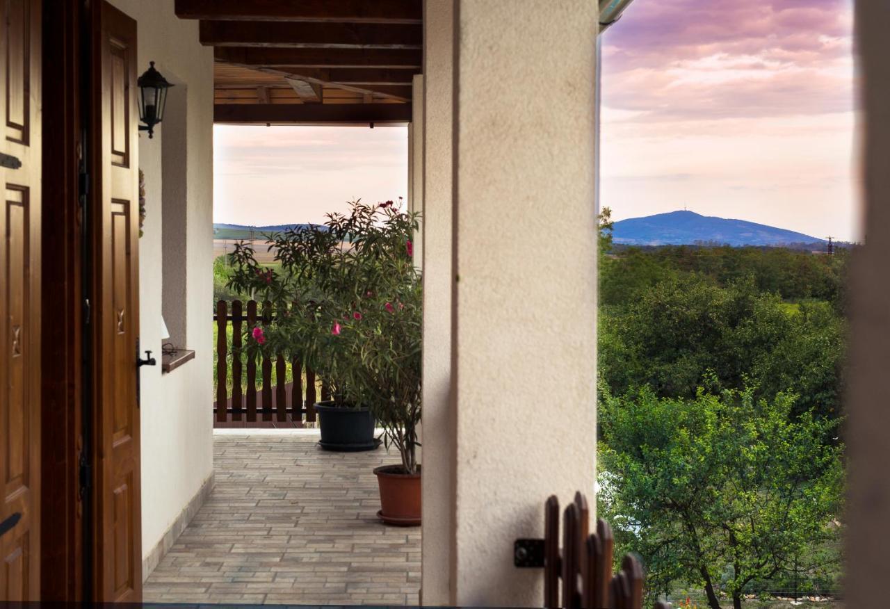 Tokaj Hill Panorama Guesthouse セレンチュ エクステリア 写真