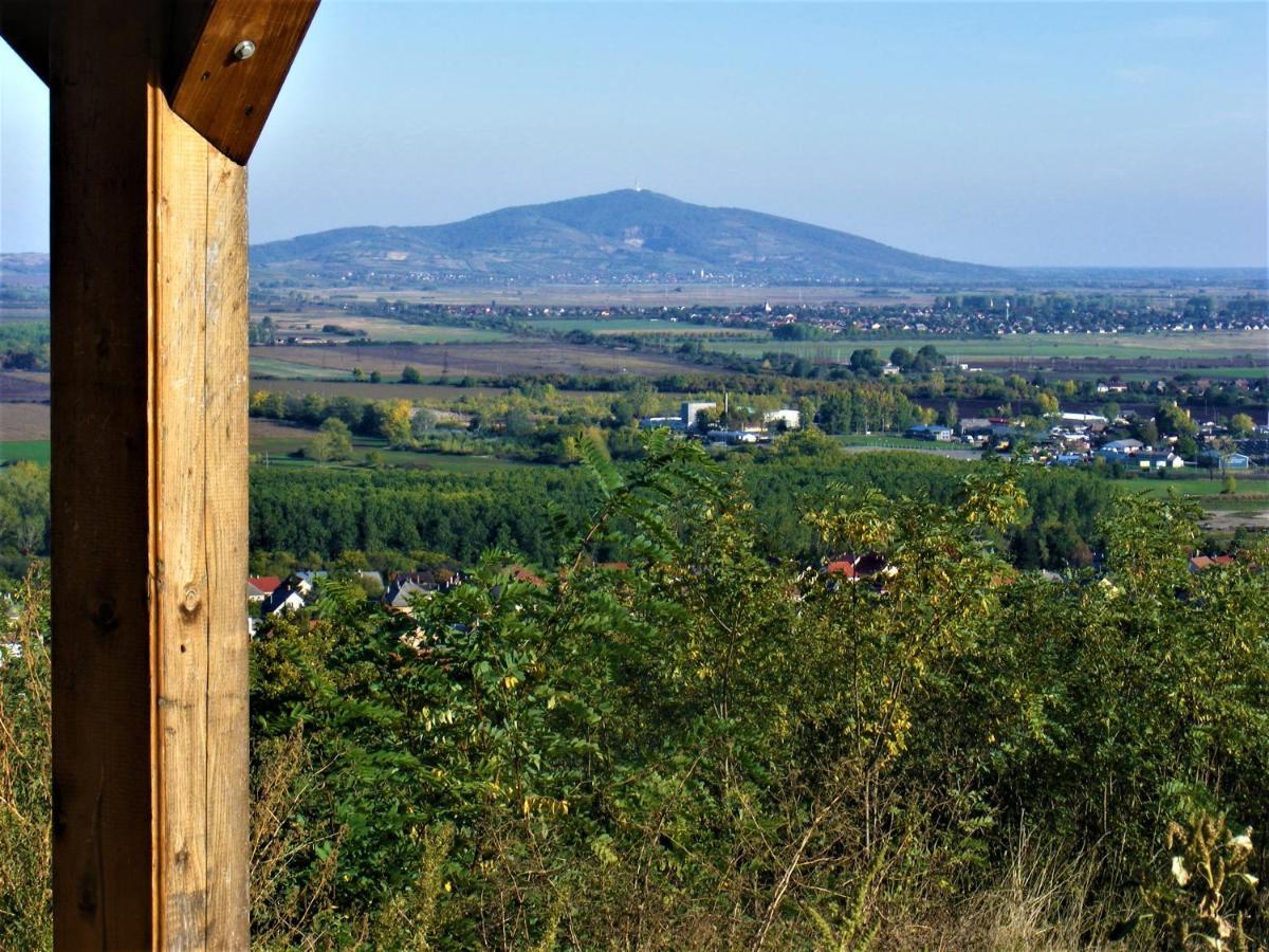 Tokaj Hill Panorama Guesthouse セレンチュ エクステリア 写真