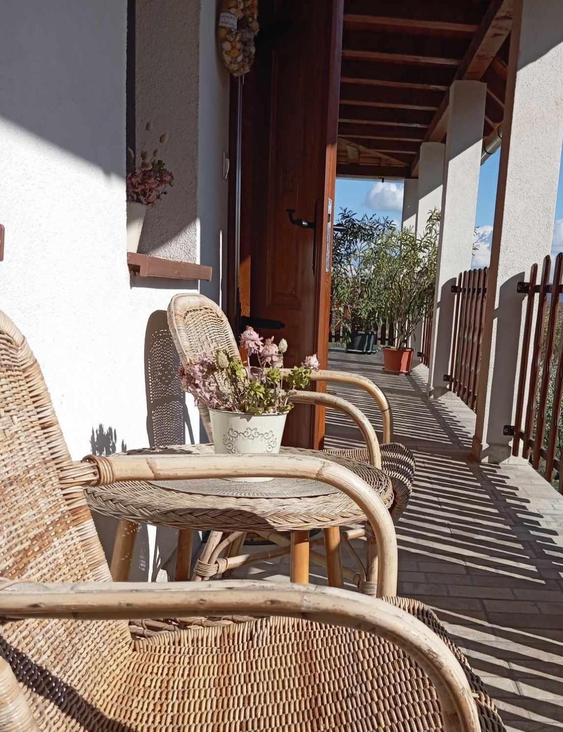 Tokaj Hill Panorama Guesthouse セレンチュ エクステリア 写真