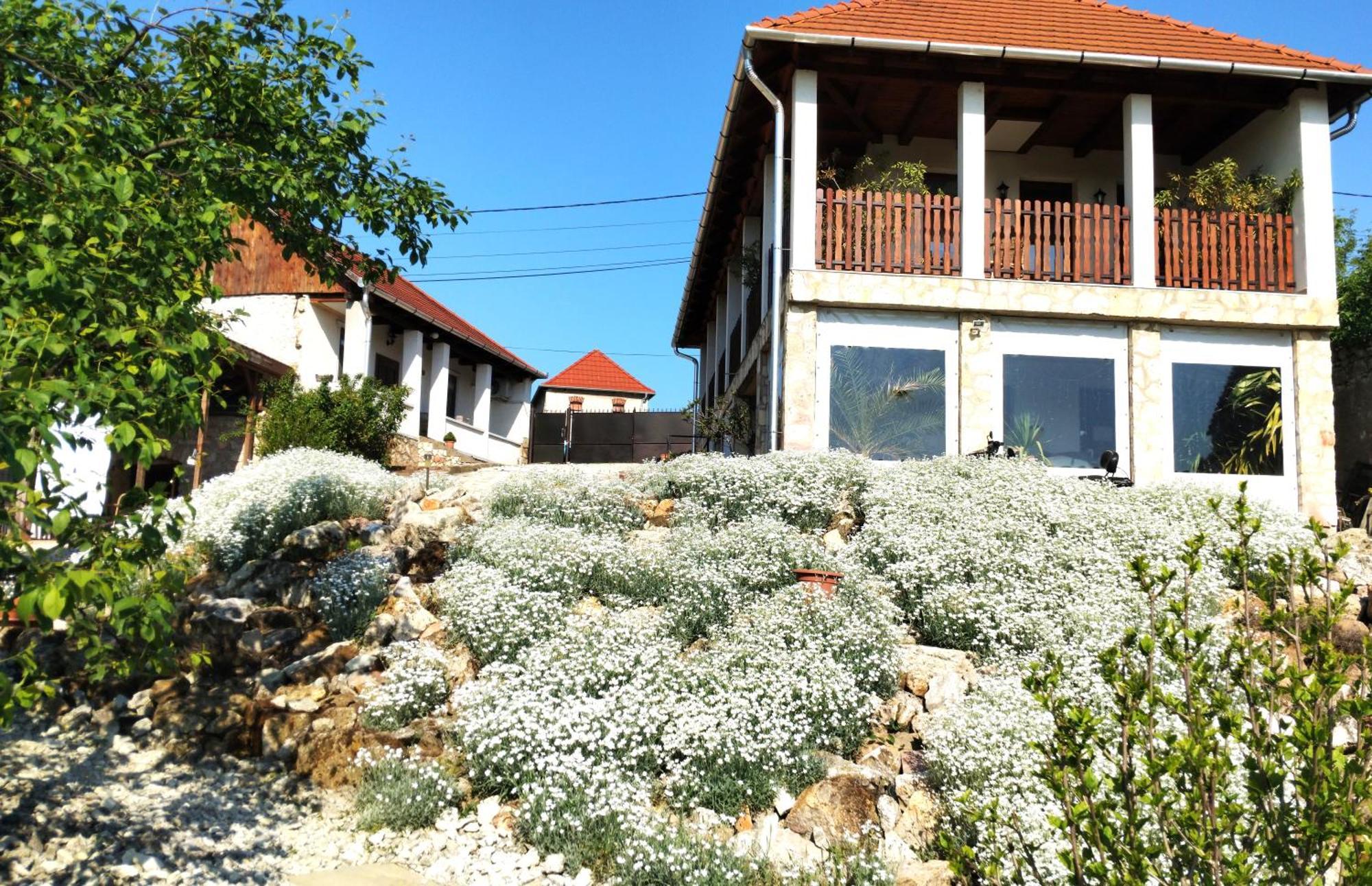 Tokaj Hill Panorama Guesthouse セレンチュ エクステリア 写真